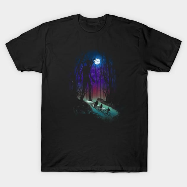 Stranger in the Woods T-Shirt by DANDINGEROZZ